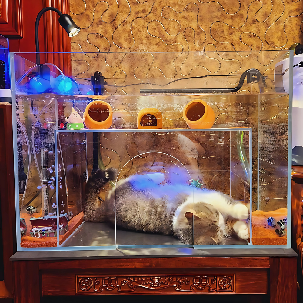 Front Entrance Cat Aquarium Product Image 5